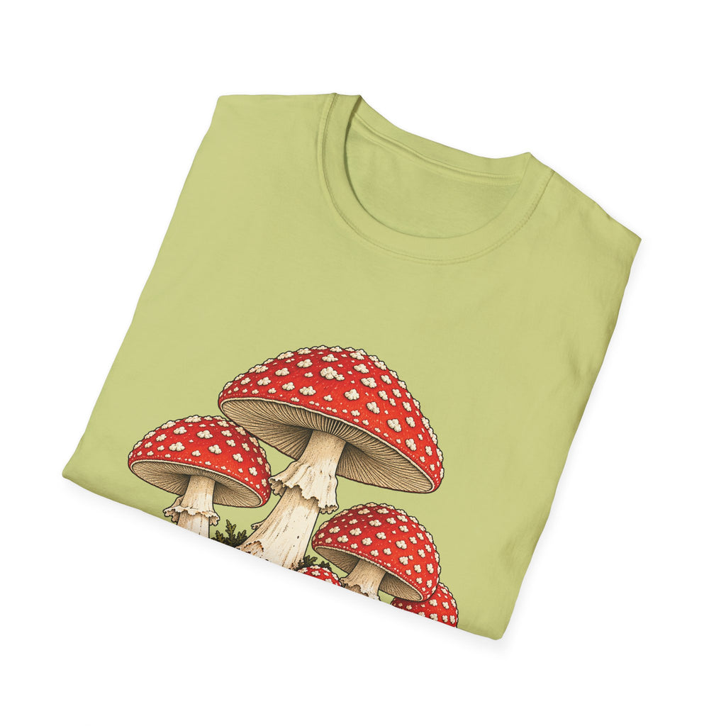 Amanita Muscaria