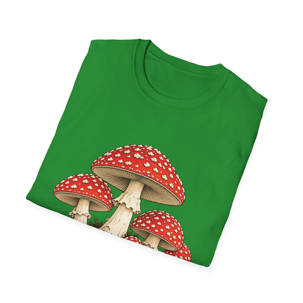 Amanita Muscaria