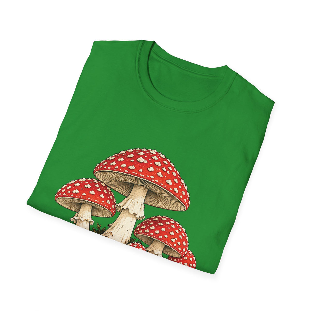 Amanita Muscaria
