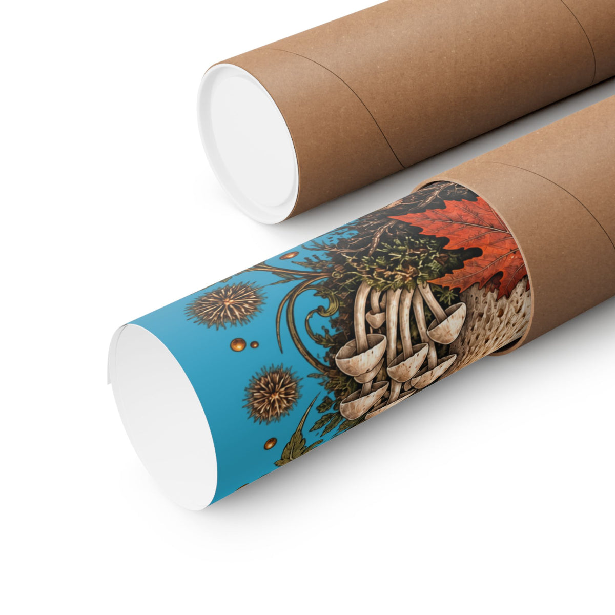 Gathered After Dark Mushroom Field Guide Poster - Turquoise Background